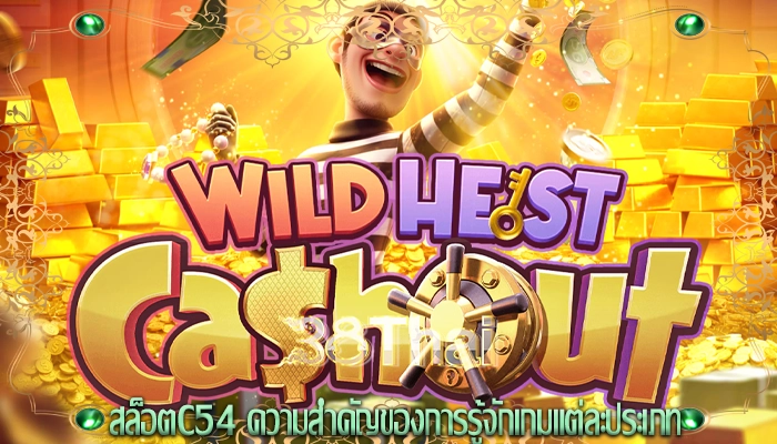 สล็อตc54 ความสำคัญของการรู้จักเกมแต่ละประเภท