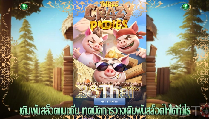 เดิมพันสล็อตแมชชีน เทคนิคการวางเดิมพันสล็อตให้ได้กำไร