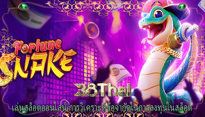 เล่นสล็อตออนไลน์ การวิเคราะห์ข้อจำกัดในการลงทุนในสล็อต