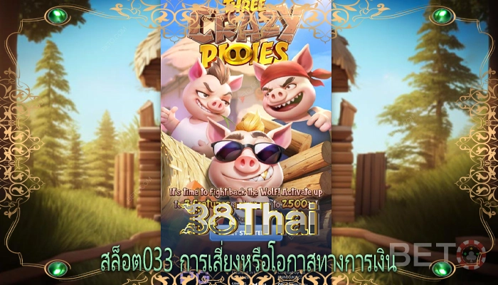 สล็อต033 การเสี่ยงหรือโอกาสทางการเงิน